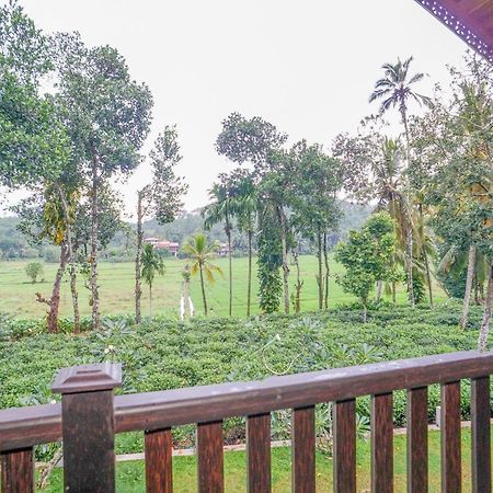 Villa Peacock Walahanduwa Oda fotoğraf